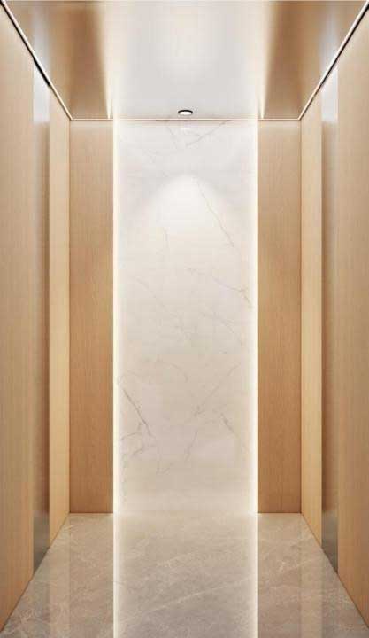 Premium Traction Backpack Elevator cabin